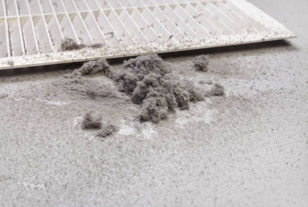 Best HVAC Duct Inspection Services  in Montague, CA